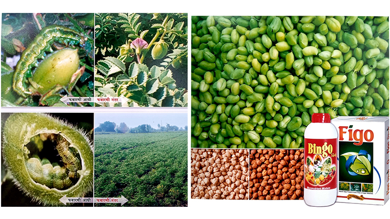 Nirman Fertilizer